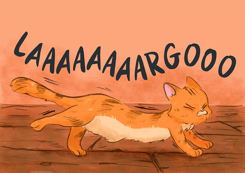 My cat is long (interior)